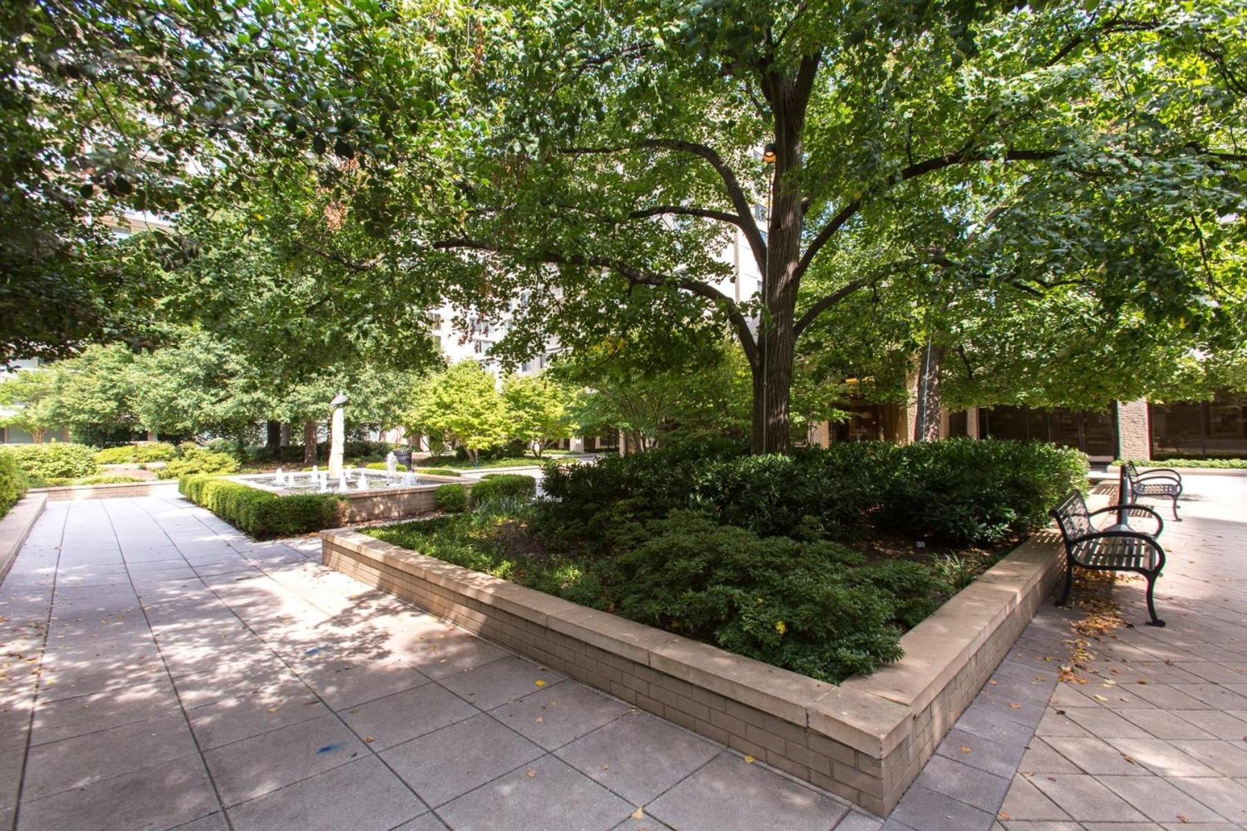 Spacious 2 Bedrooms Apt @Crystal City With Gym Άρλινγκτον Εξωτερικό φωτογραφία
